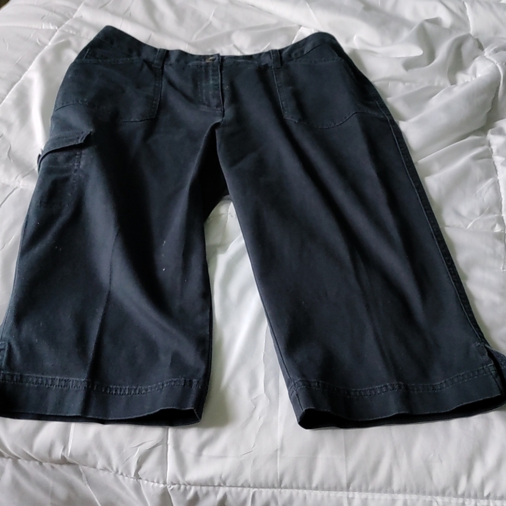 ✨ Charter club women's size 8p Navy pants